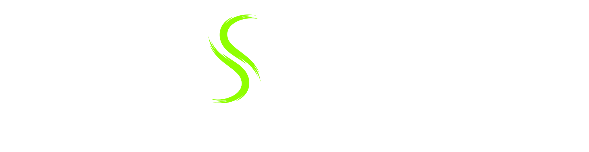 PRISALYA Data IT & Cybersecurity